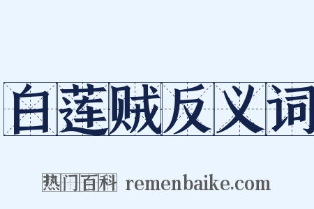 白莲贼反义词是什么意思的图片